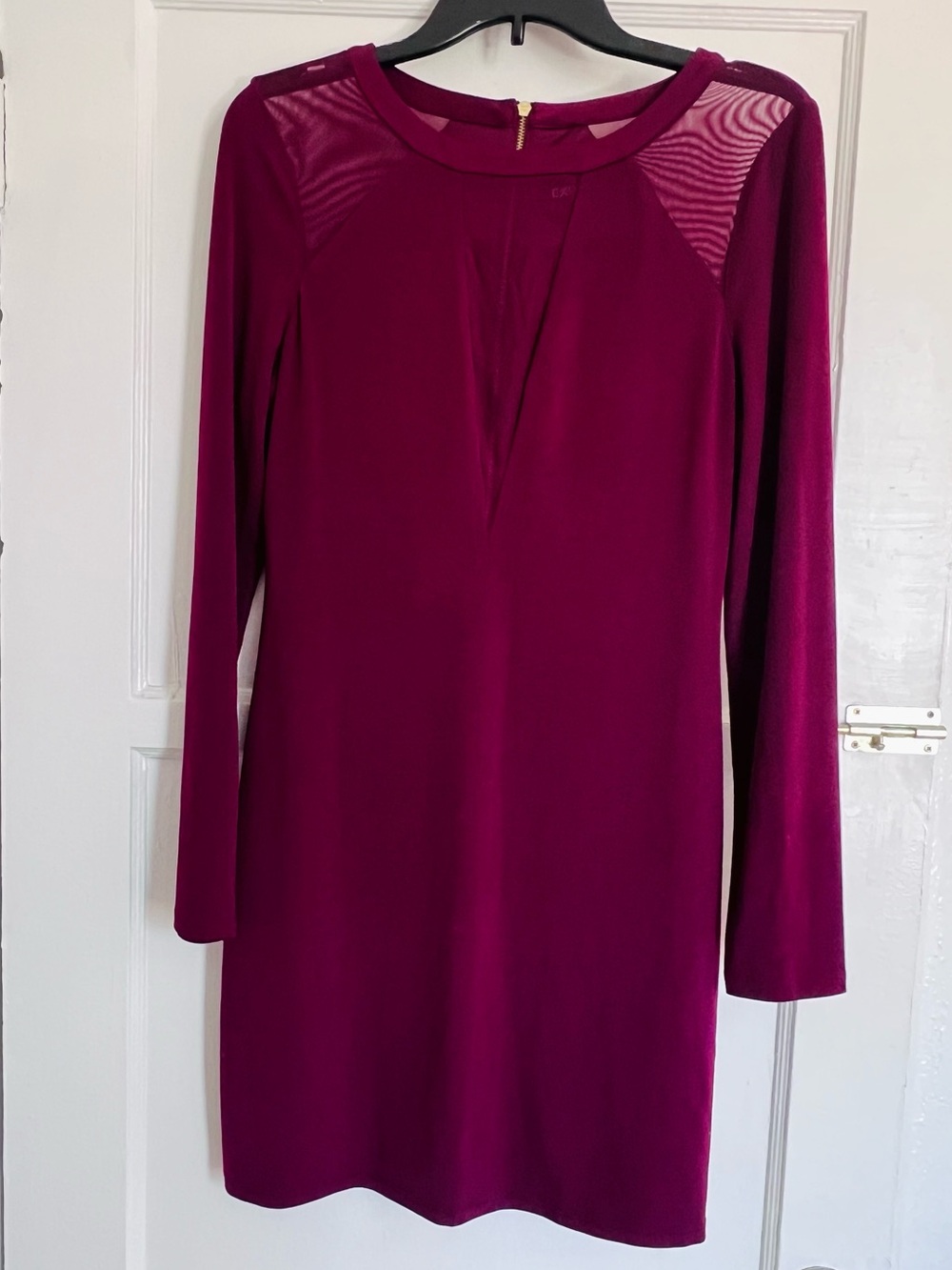 Wine Long Sleeve Mesh Dress